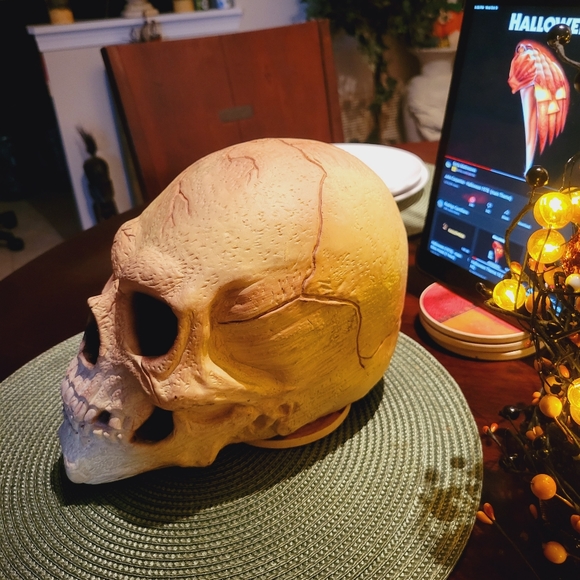 Skull - Picture 5 of 8